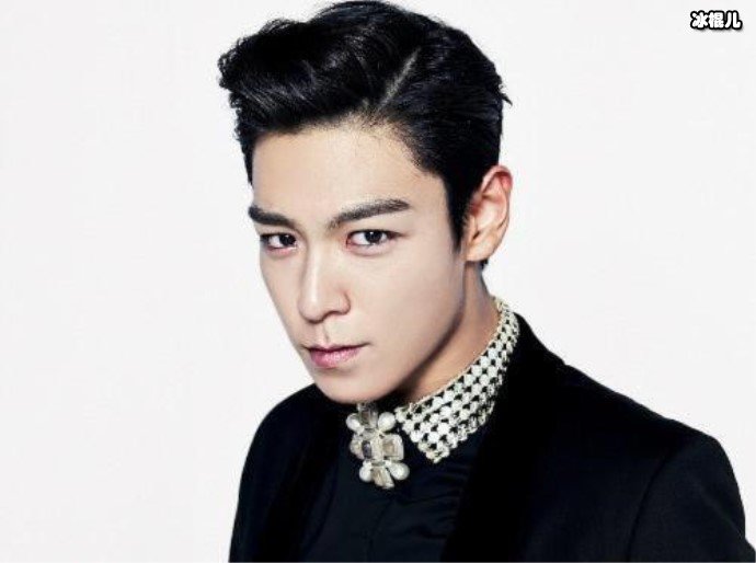 t.o.p.为什么永远正装, 退伍后何去何从