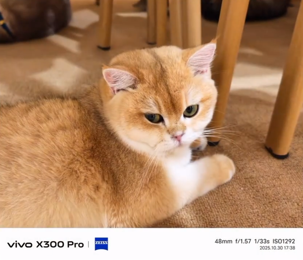 vivo产品经理详解X300原生光影:减少AI干预 还原真实 vivo产品经理详解X300原生光影:减少AI干预 还原真实