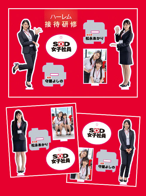 SDJS-339,「松永明里、守屋芳乃」最新共演作品2025/12/03发布！