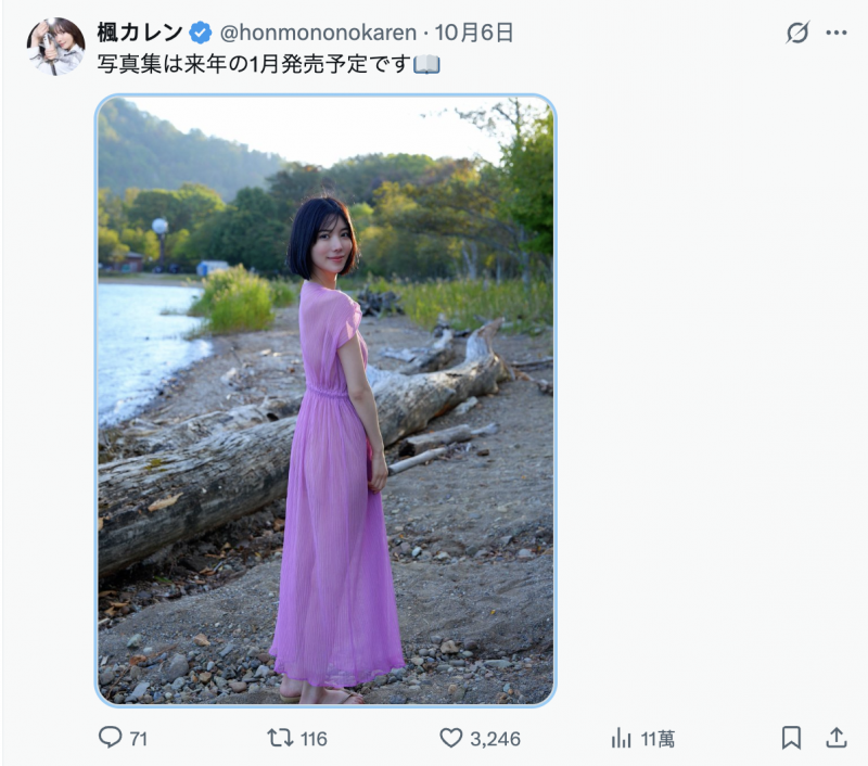 「我没有忘了X(社群)喔」、但,楓カレン(枫花恋)何时有新片?