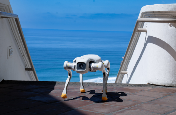 FF四足机器人通过美国销售合规认证 全年出货1000台？